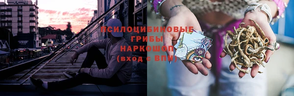ГАЛЛЮЦИНОГЕННЫЕ ГРИБЫ Горняк