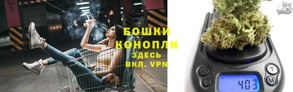 ГАЛЛЮЦИНОГЕННЫЕ ГРИБЫ Горняк