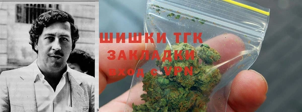 2c-b Горнозаводск