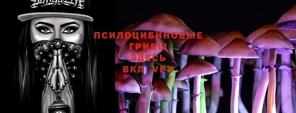 2c-b Горнозаводск