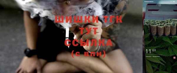 ГАЛЛЮЦИНОГЕННЫЕ ГРИБЫ Горняк