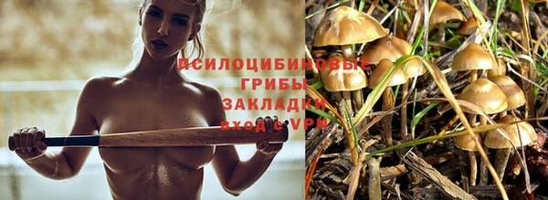 ГАЛЛЮЦИНОГЕННЫЕ ГРИБЫ Горняк