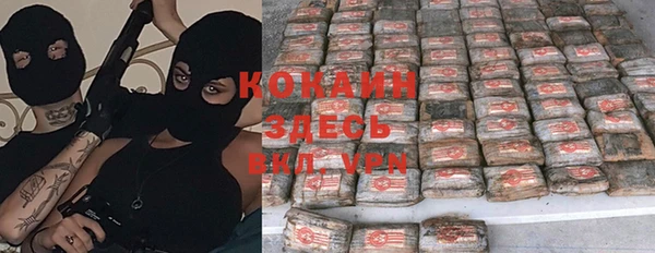 ГАЛЛЮЦИНОГЕННЫЕ ГРИБЫ Горняк