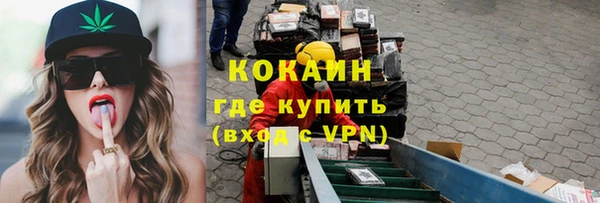 ГАЛЛЮЦИНОГЕННЫЕ ГРИБЫ Горняк