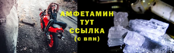 ГАЛЛЮЦИНОГЕННЫЕ ГРИБЫ Горняк